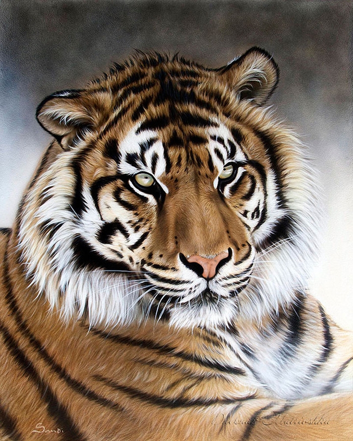 Awesome realistic drawings of animals 15