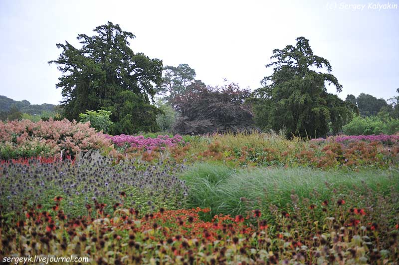 Trantham Gardens 526.JPG Trantham Gardens 526.JPG