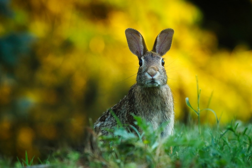 http://amdn.news/media/cache/news_main_image/images/news/5988f57c46b56.jpg