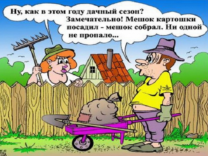 О даче с юмором. О даче с юмором.