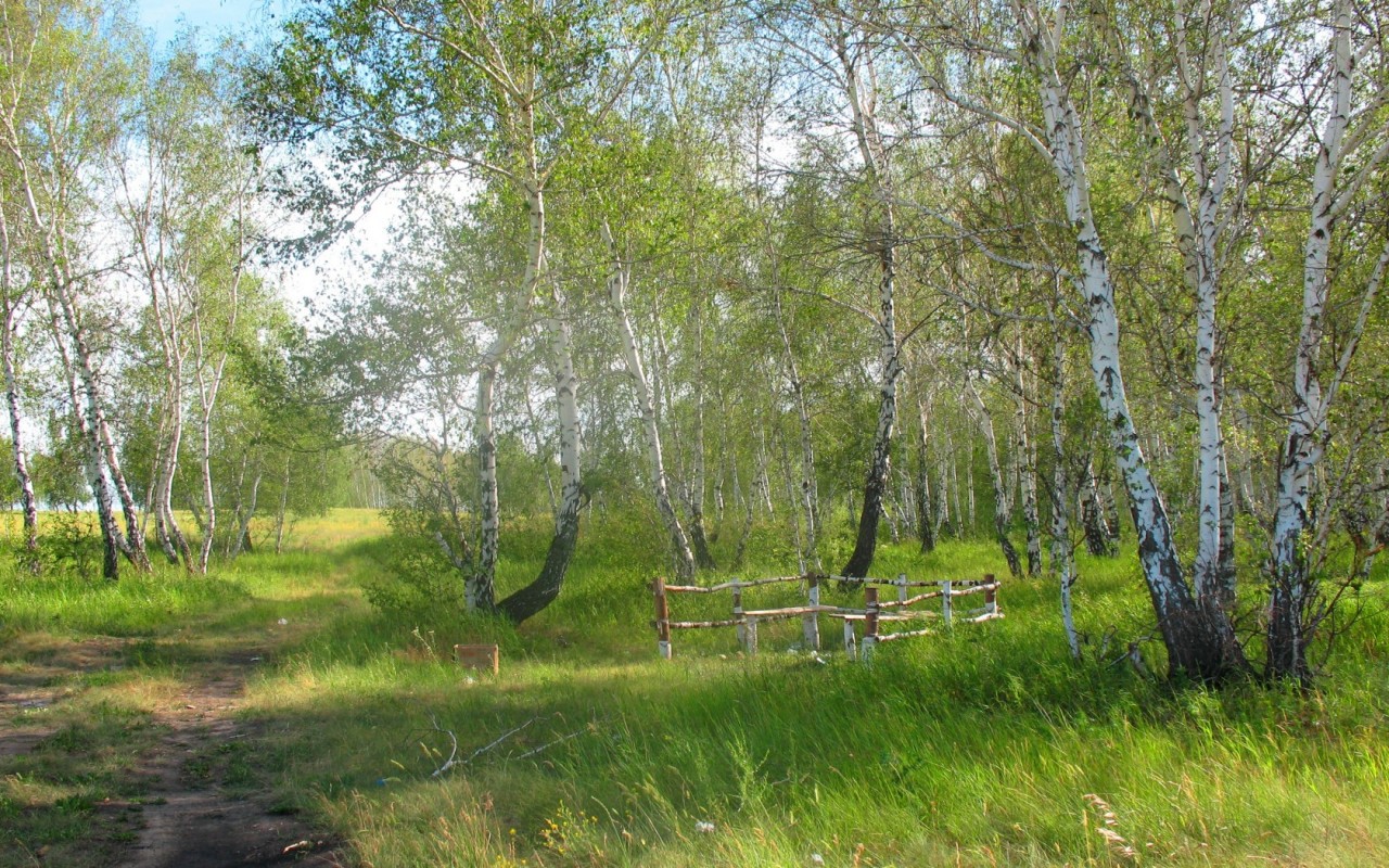 Природа России 5 Природа России 5