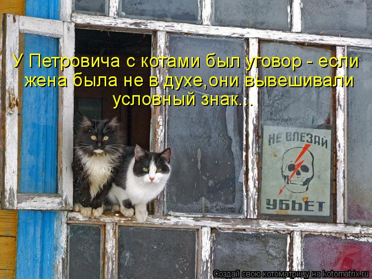 Котоматрица - У Петровича с котами был уговор - если жена была не в духе,они вывешив