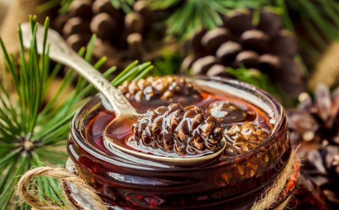Варенье из шишек сосны: польза и вред