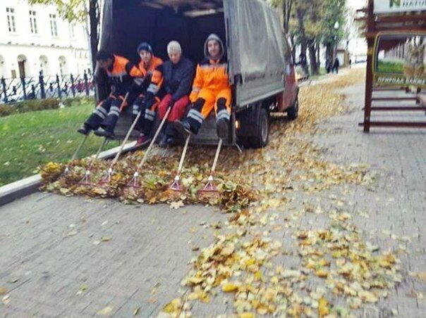 Работа кипит Мужская логика и ее особенности
(15 фото)