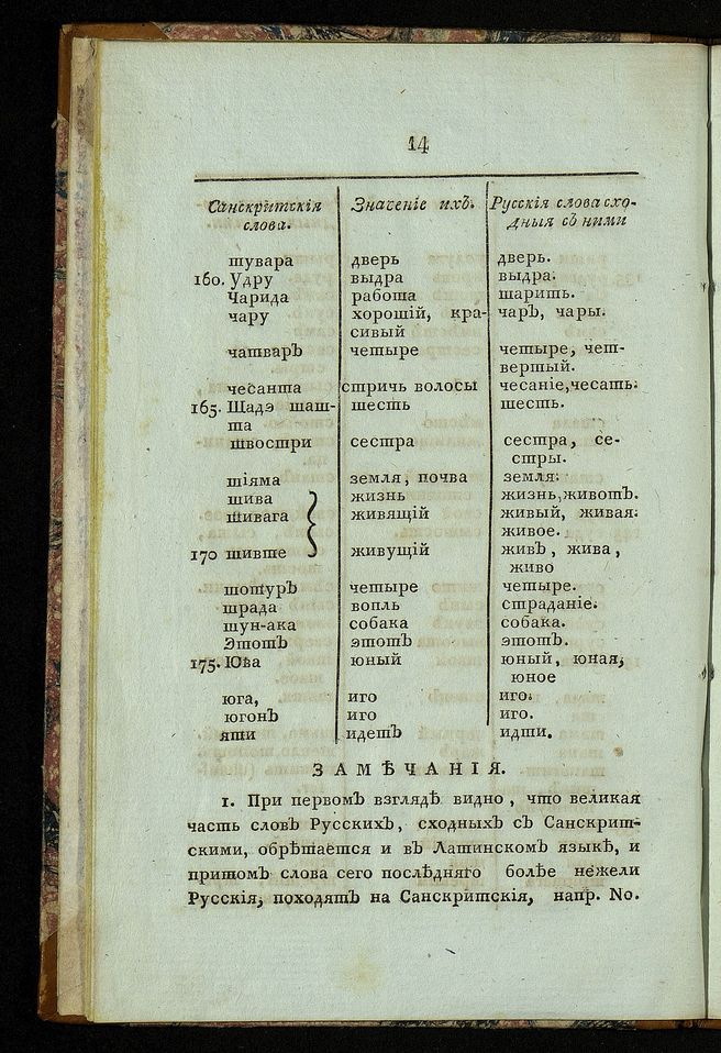 Почему санскрит так похож на русский Почему санскрит так похож на русский