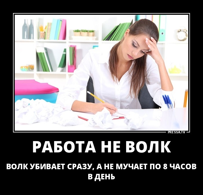 Работа не волк картинки