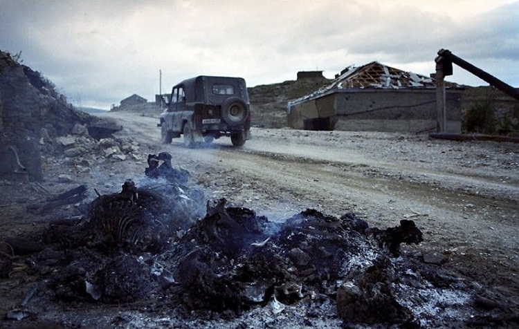 чехи-33