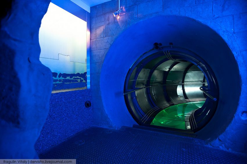 Санкт-Петербург, музей, вода