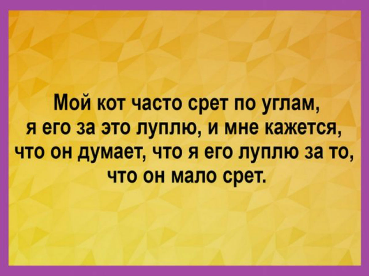 Зашла к мужу на одноклассники с новой странички, познакомились... Подборка анекдотов Зашла к мужу на одноклассники с новой странички, познакомились... Подборка анекдотов