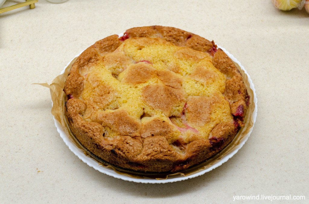 DSC_1965.jpg DSC_1965.jpg