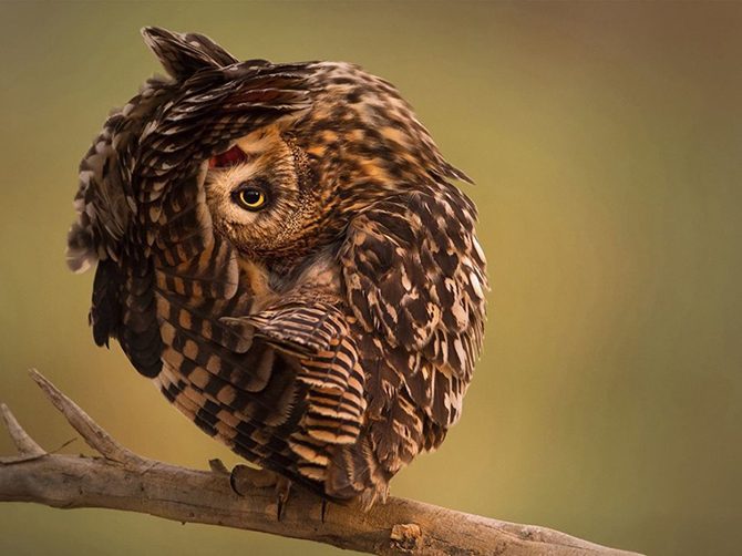 Лучшие фотографии National Geographic Лучшие фотографии National Geographic