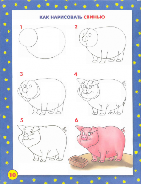 Уроки поэтапного рисования - Свинка