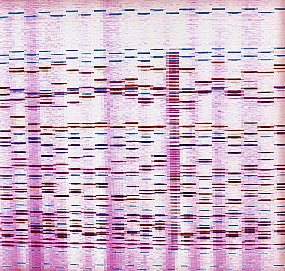 G2100821-DNA_sequence.jpg