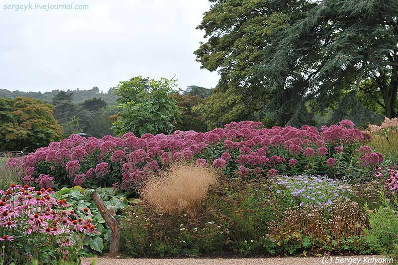 Trantham Gardens 317.JPG Trantham Gardens 317.JPG