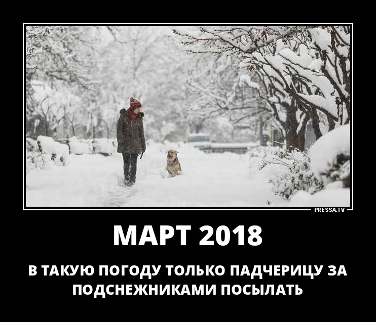 ДЕМОТИВАТОРЫ + ДЕМОТИВАТОРЫ +