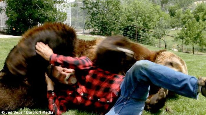 животные, кино