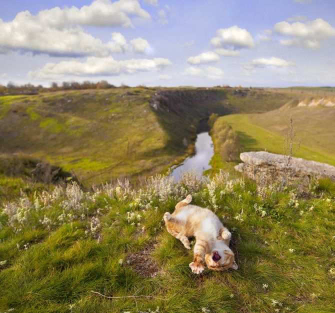 Бесплатный фотоприкол