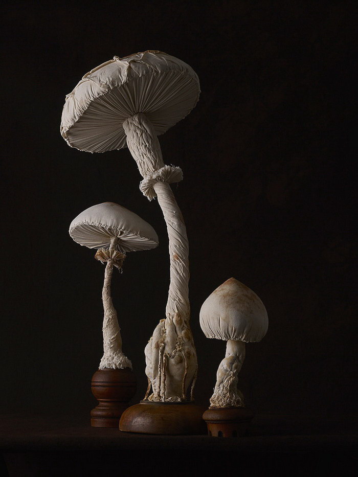 Магические тканевые скульптуры грибов Mister Finch
