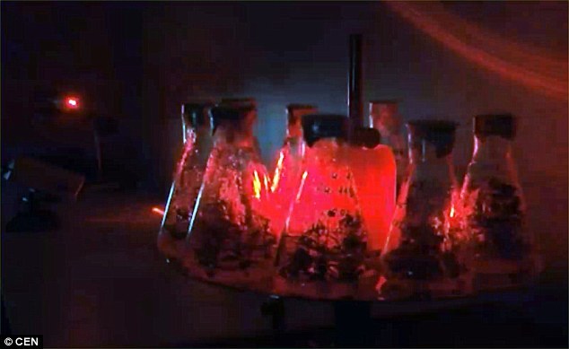 Российские ученые изобрели лазер, который спасет мир от голода