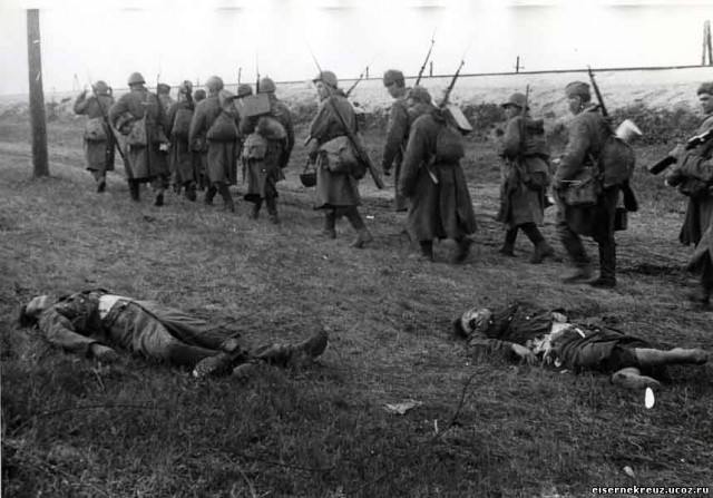 Агония. Май 1945 г. Агония. Май 1945 г.