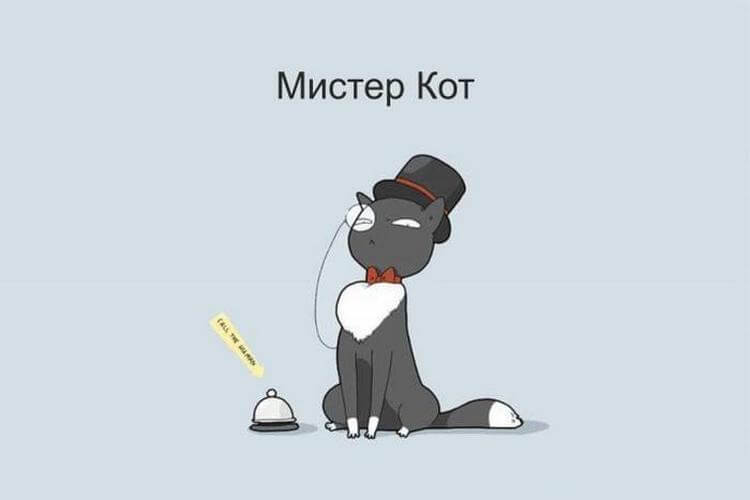 Без кота и жизнь не та