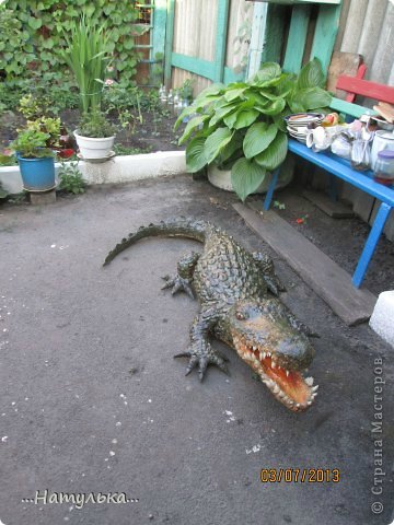 Необычное применение линолеума на даче изображения Необычное применение линолеума на даче изоражения