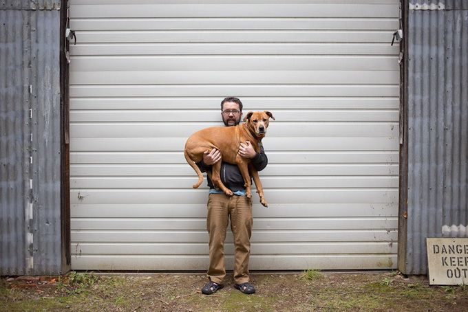 животные, отношения, люди, приют