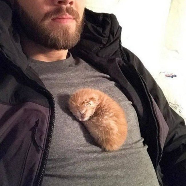 Животные, которые вам помогут подзарядиться позитивом и отдохнуть душой) Животные, которые вам помогут подзарядиться позитивом и отдохнуть душой)