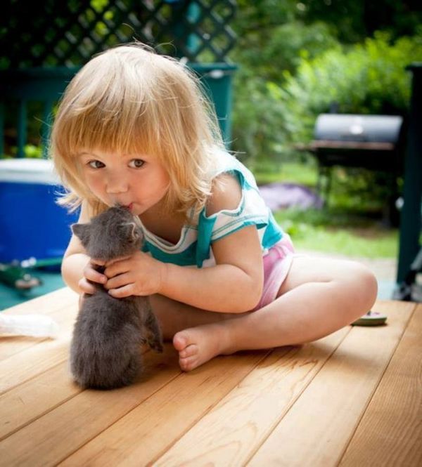 Думаешь, дети не должны иметь животных? Только взгляни на эти фотографии! Думаешь, дети не должны иметь животных? Только взгляни на эти фотографии!