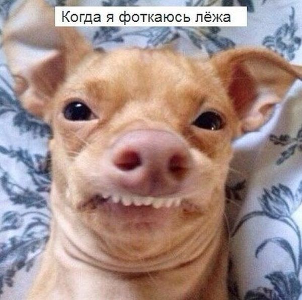 Немного юмора Немного юмора