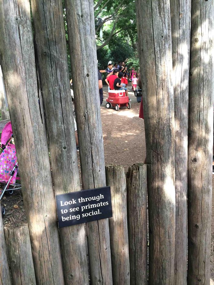 Funny Zoo Sign