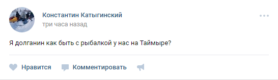 и просили совета и просили совета президент, прямая линия 2017, путин