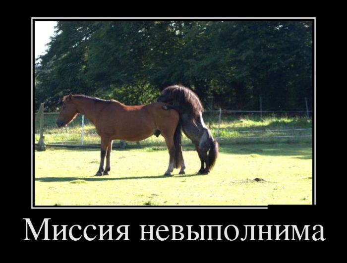 Демотиваторы Демотиваторы