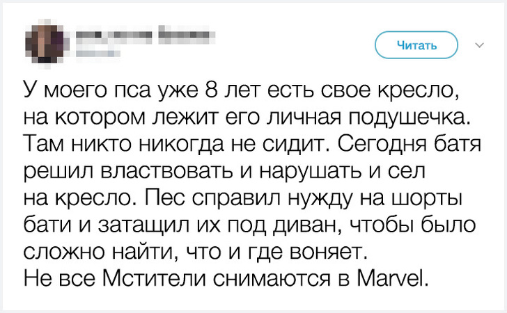 Приколы из сети: Твиттер-ки/СМС-ки :) Приколы из сети: Твиттер-ки/СМС-ки :)