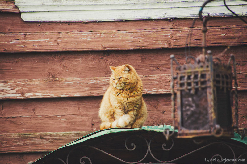 Ростов. Маленький, но Великий путешествия, факты, фото