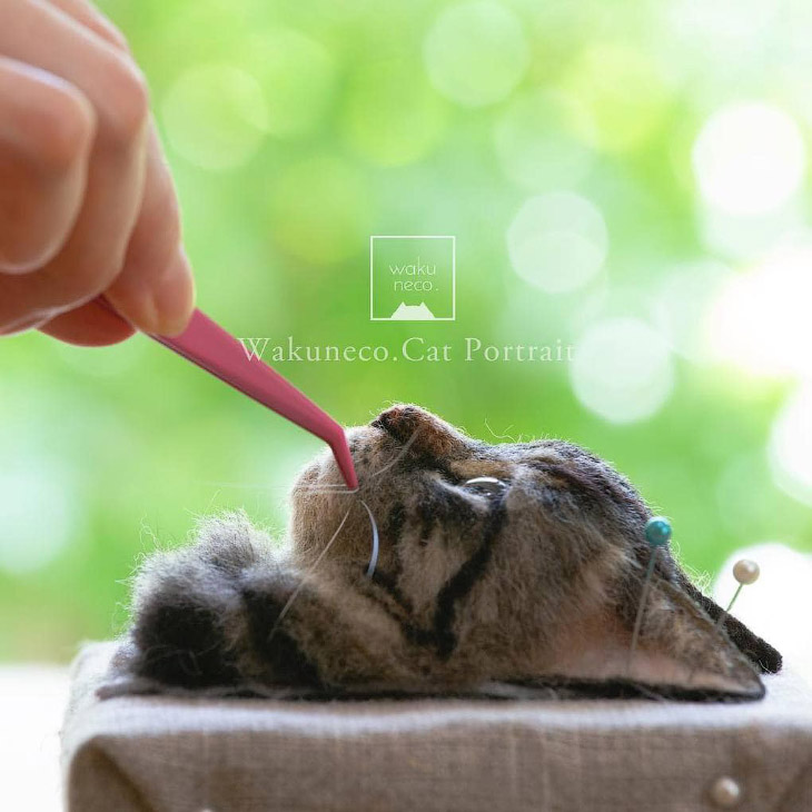 Народные умельцы: 3D-портреты кошек из шерсти