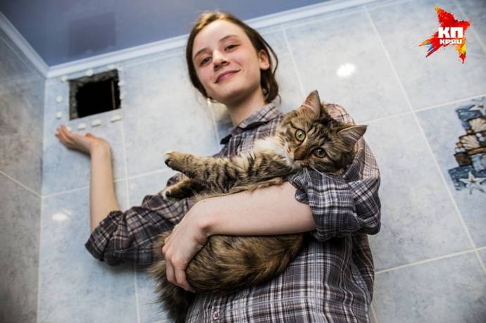 Школьница из Челябинска спасла кошку