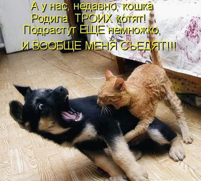 019 (700x630, 150Kb)