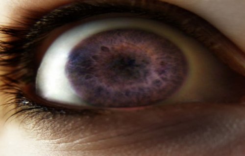 original.jpg#20244441625