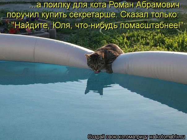 Котоматрица: ...а поилку для кота Роман Абрамович "Найдите, Юля, что-нибудь помасштабнее!"  поручил купить секретарше. Сказал только: