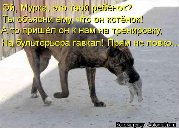 Прически на каждый день с распущенными волосами Постановление Главного государственного