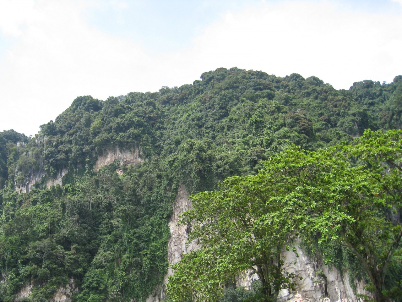 Пещеры Бату Кейвс (Batu Caves). Индонезия. Пещеры Бату Кейвс (Batu Caves). Индонезия.