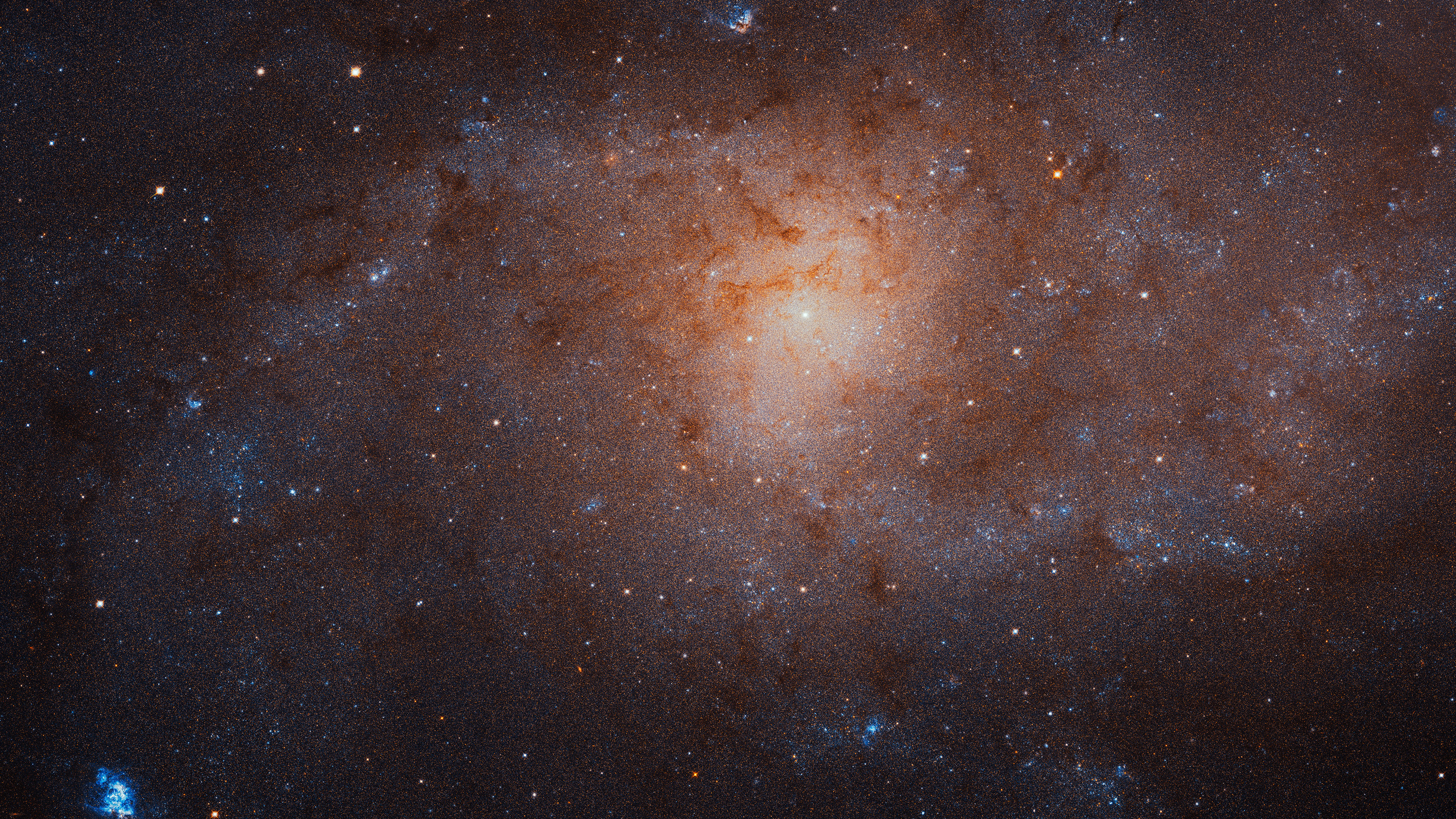 Галактика М33 была среди шести звёздных систем, рассмотренных авторами работы.