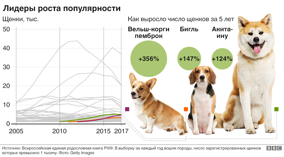 Лидеры роста