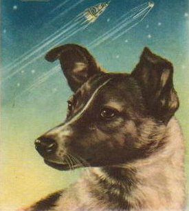 интересное, фото, факты