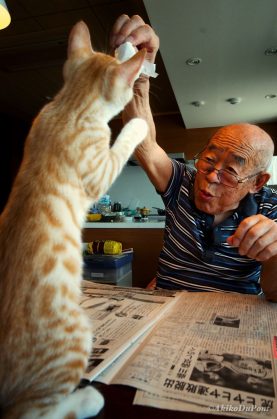 История про котенка, который вернул радость жизни сердитому старику