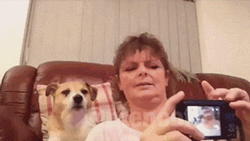 Эти прикольные анимации поднимут вам настроение