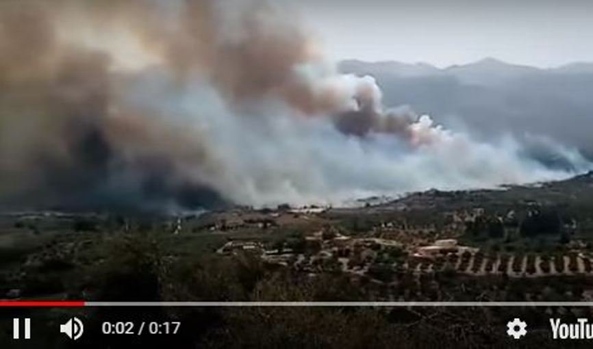 Появилось видео пожара, охватившего университет Крита в Греции