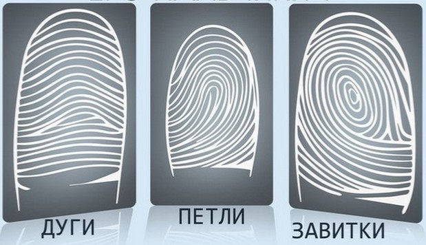 Занимательная психология: Что означают узоры на ваших пальцах? Занимательная психология: Что означают узоры на ваших пальцах?