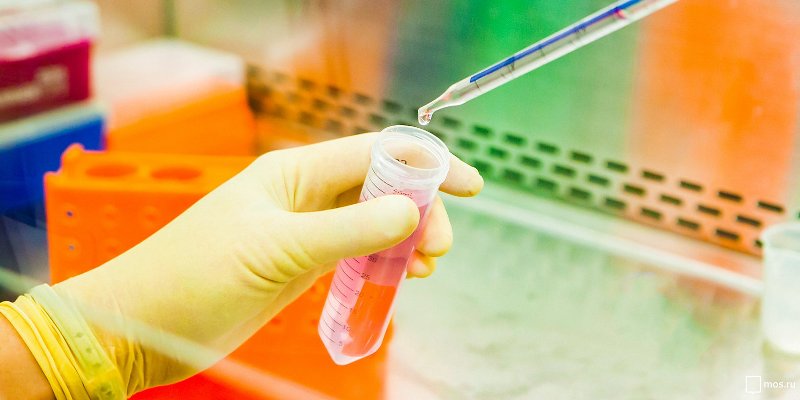 Поправки в Конституцию определят новый вектор развития медицины